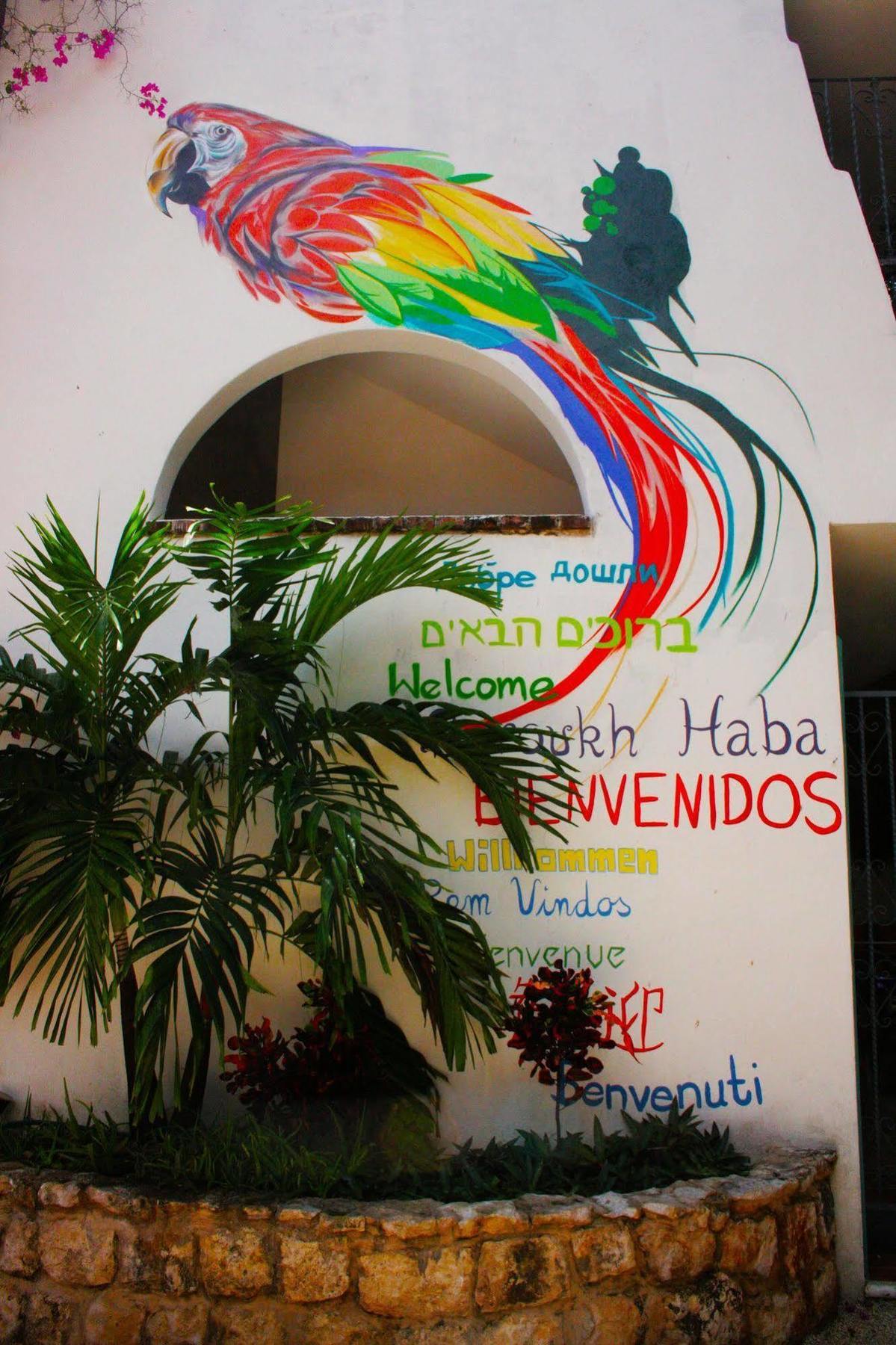 The Yak Hostel Playa del Carmen Εξωτερικό φωτογραφία