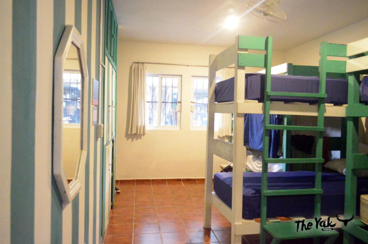 The Yak Hostel Playa del Carmen Εξωτερικό φωτογραφία